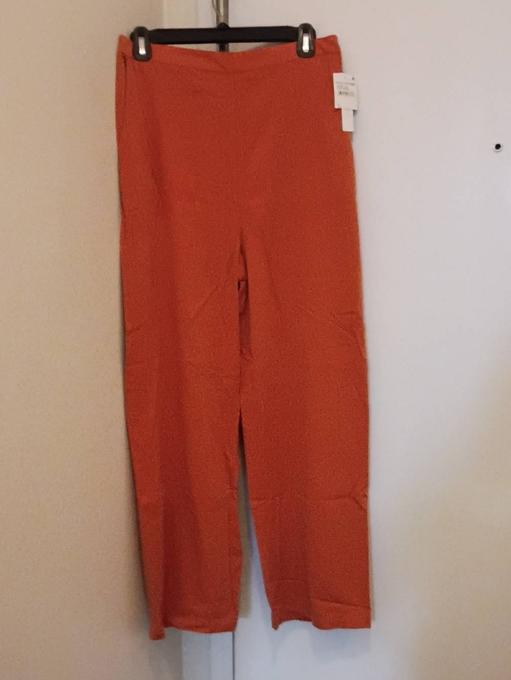 Abound Wide-Leg Pull-On Pants in Orange